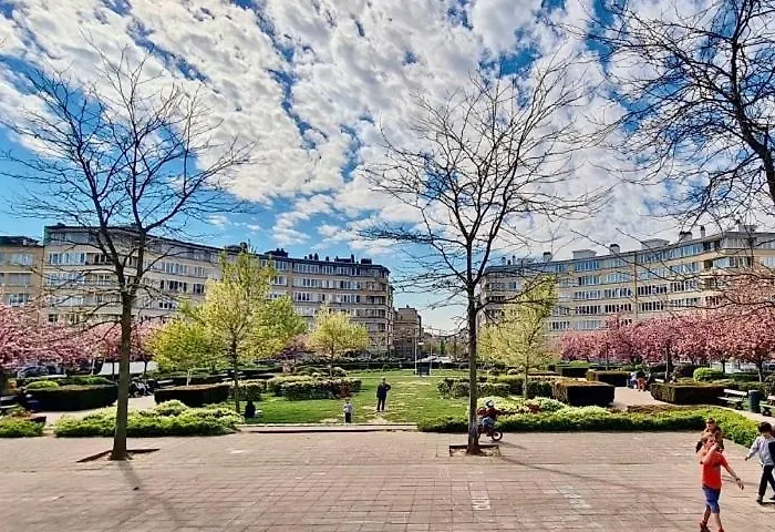Appartement Roi Vainqueur