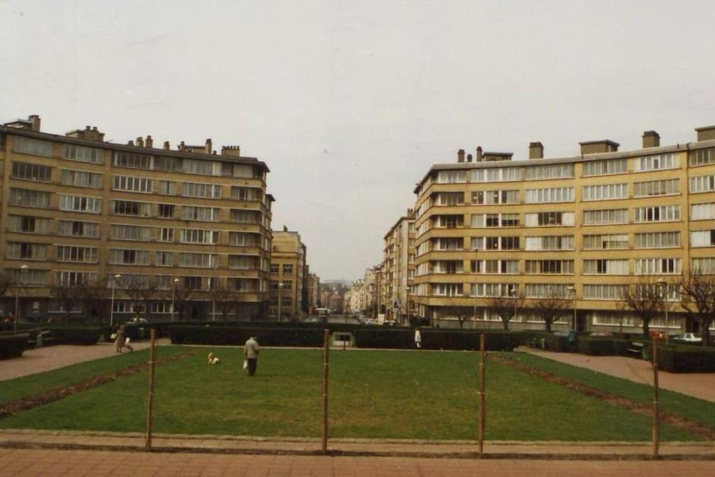 Roi Vainqueur Bruxelles